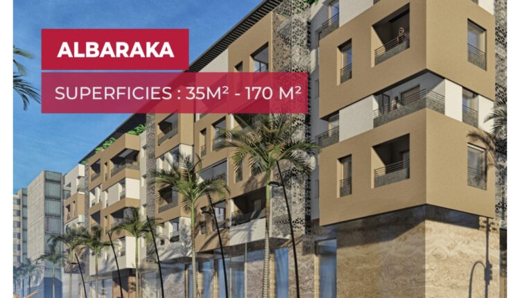 1683553255002_page-0003