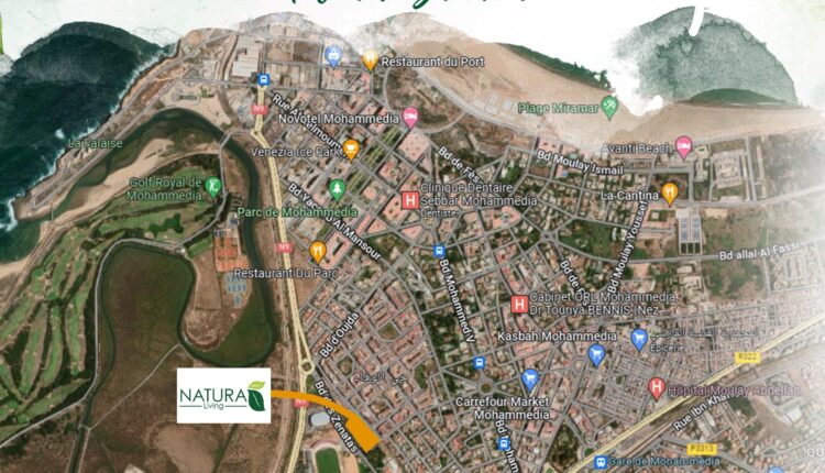 93fbffb5-0898-454d-9f15-c1b710470719_00011