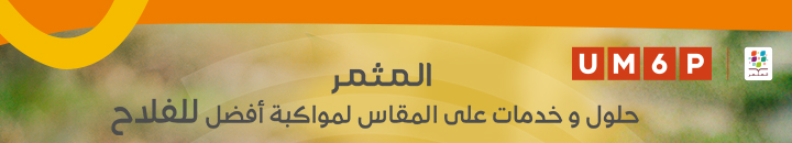 OCP AL MOUTMIR 2025